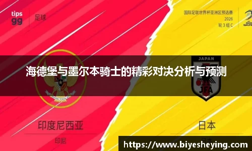 海德堡与墨尔本骑士的精彩对决分析与预测